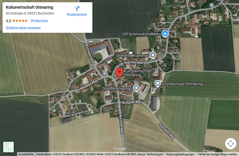Google Maps - Map ID 6c73d97ce0